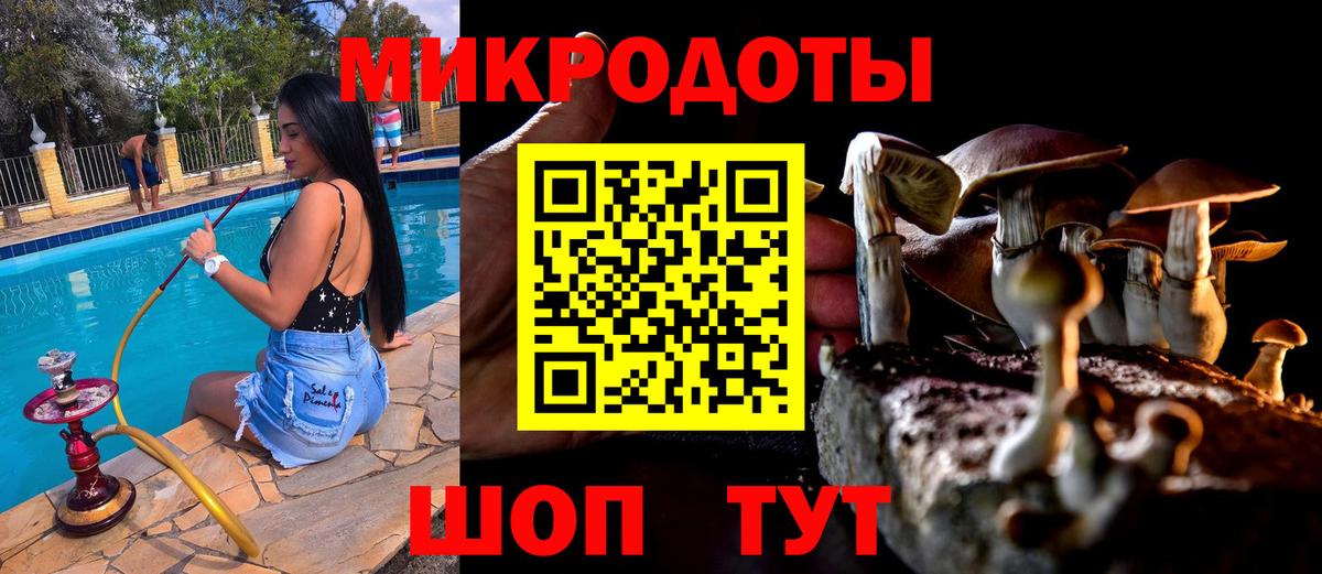 Екатеринбург  Галлюциногенные грибы мухоморы  Вход с VPN  Псилоцибиновые грибы мицелий 